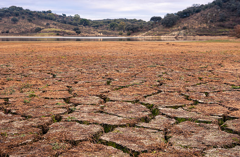 Climate change and its repercussions for Pakistan